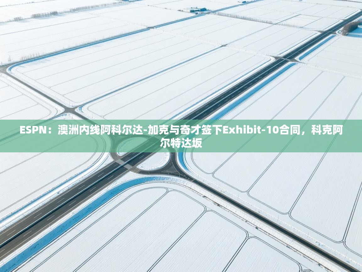 ESPN：澳洲内线阿科尔达-加克与奇才签下Exhibit-10合同，科克阿尔特达坂