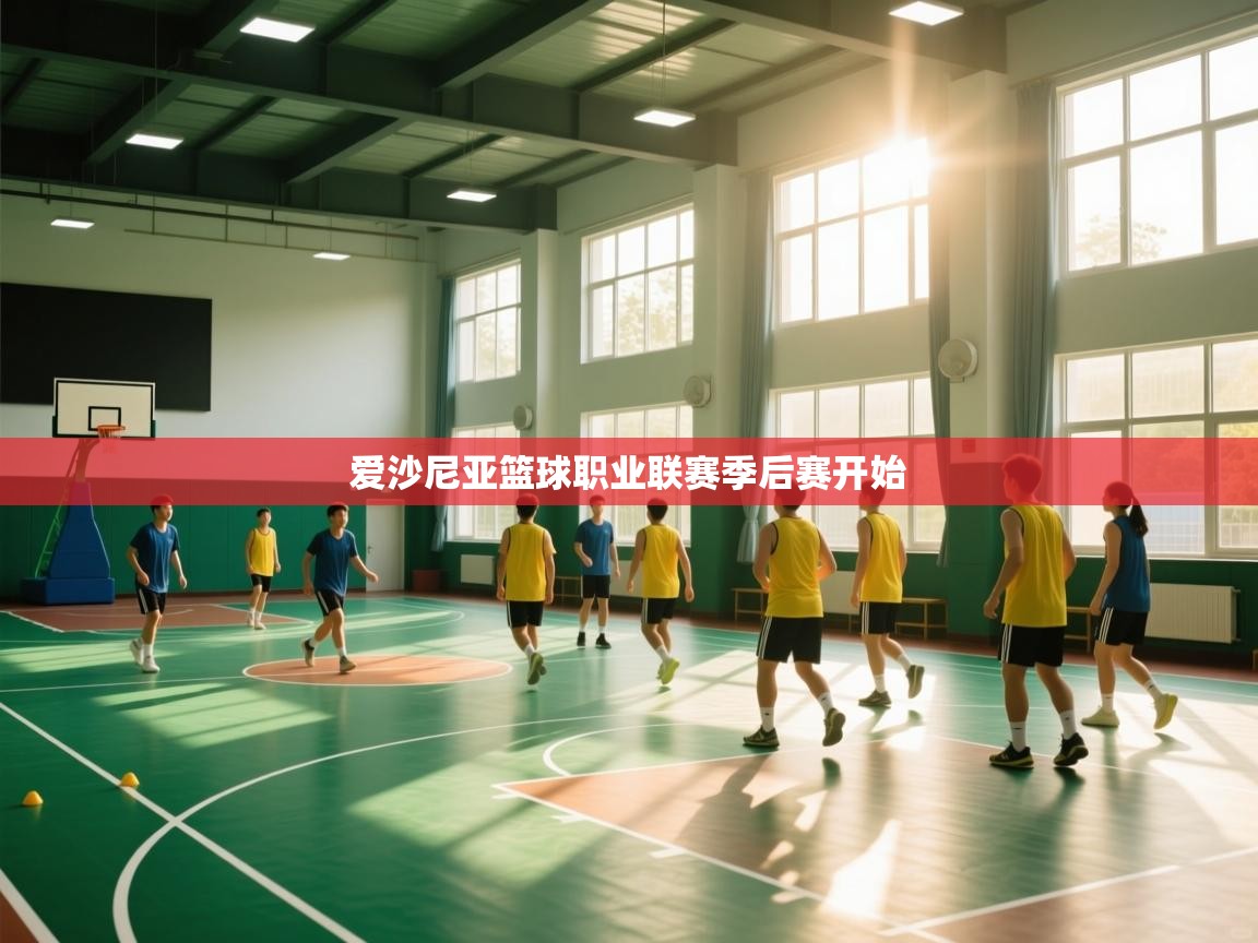 爱沙尼亚篮球职业联赛季后赛开始  第1张