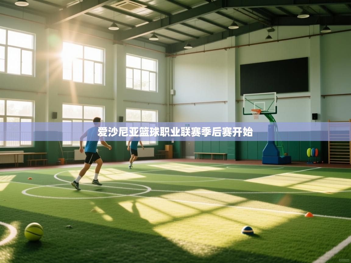 爱沙尼亚篮球职业联赛季后赛开始  第2张