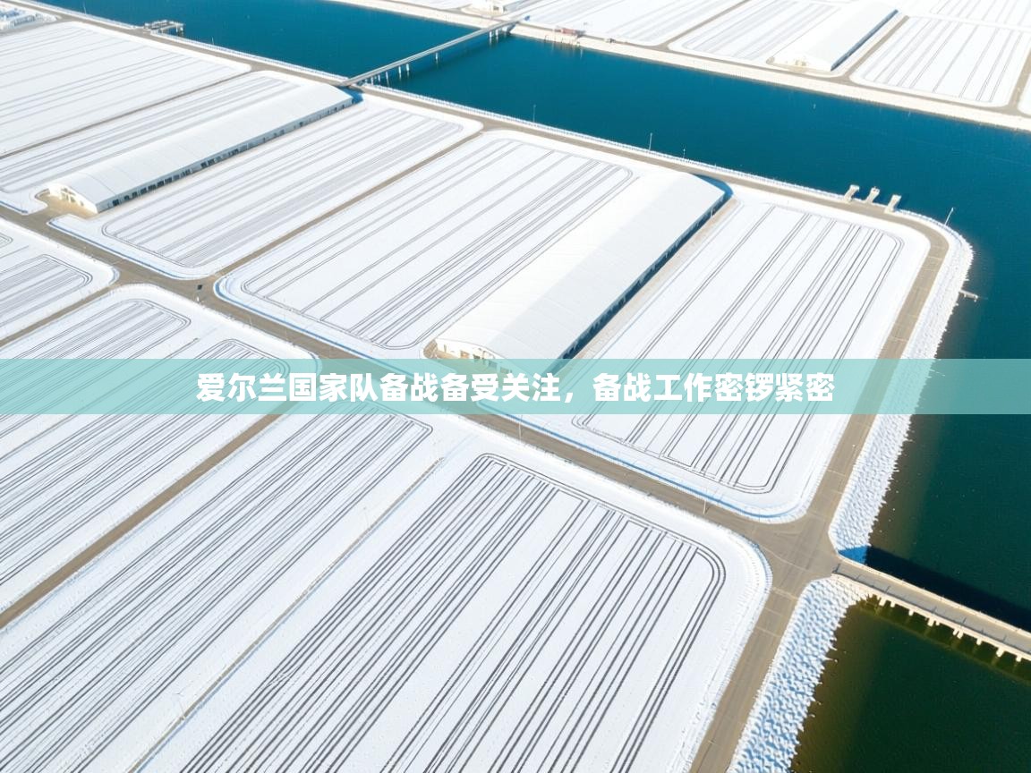 爱尔兰国家队备战备受关注,备战工作密锣紧密 第1张