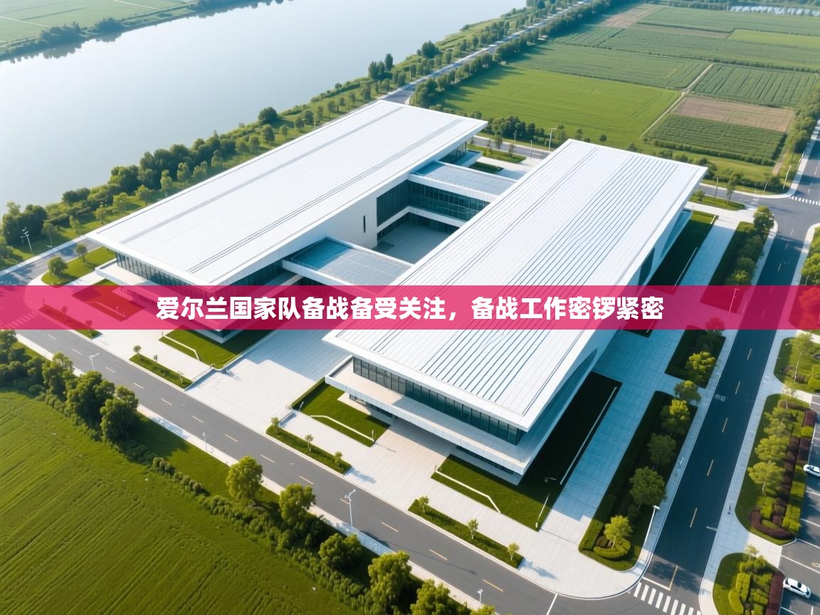 爱尔兰国家队备战备受关注,备战工作密锣紧密 第2张